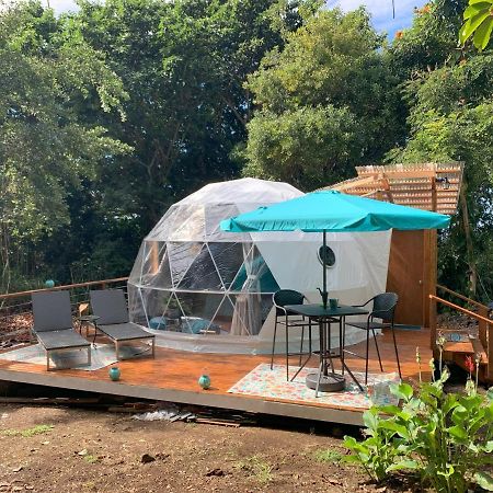 Manta Soul Jungle Geodome Hotel Kealakekua Bagian luar foto