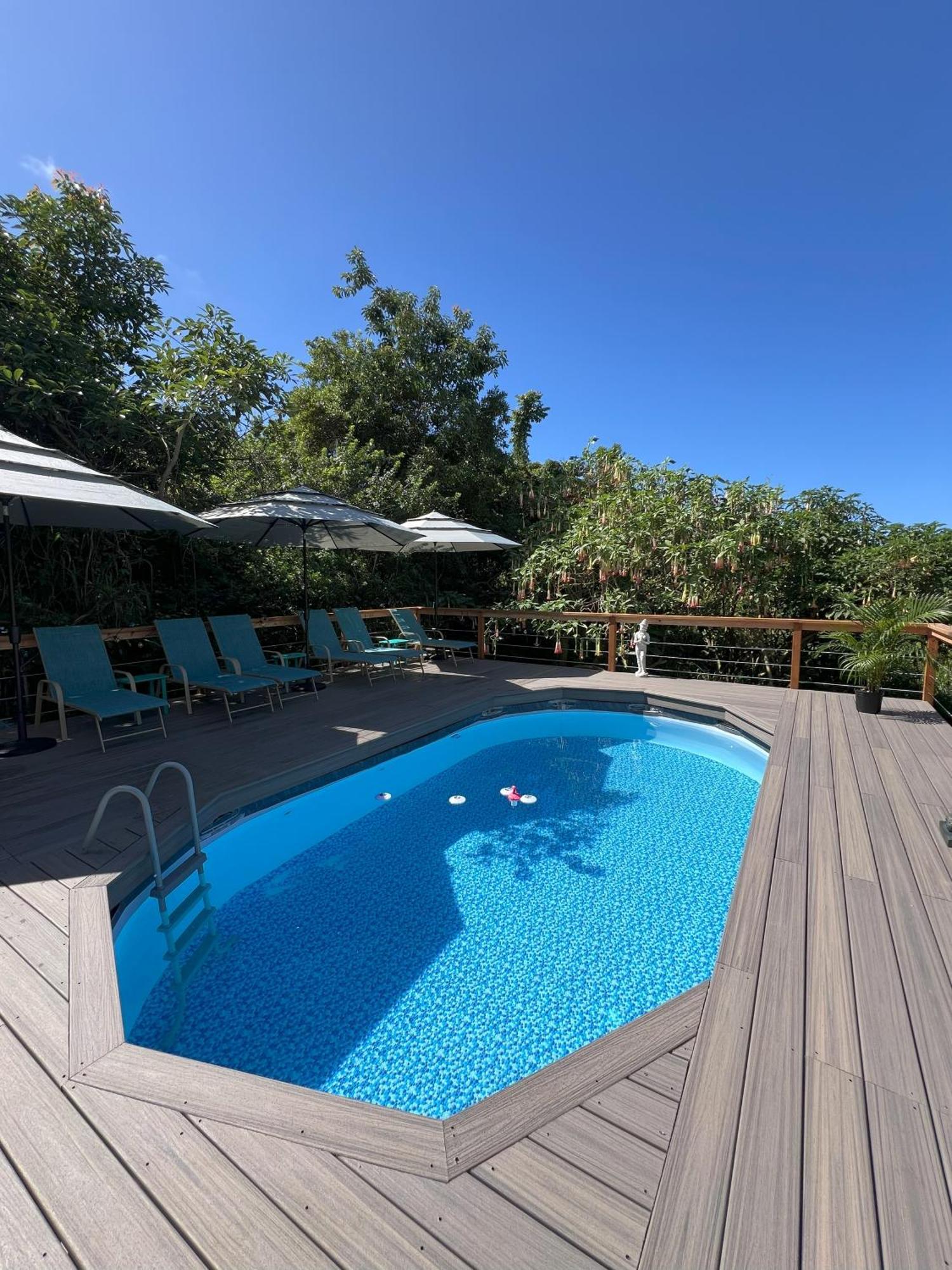 Manta Soul Jungle Geodome Hotel Kealakekua Bagian luar foto